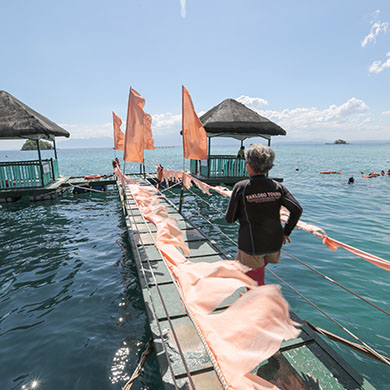 Davao