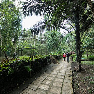 Davao