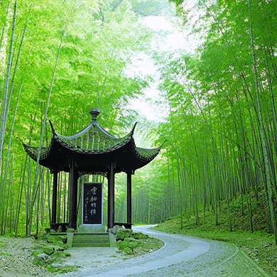 Hangzhou