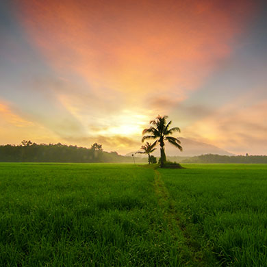 Kota Bharu