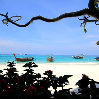 Lipe