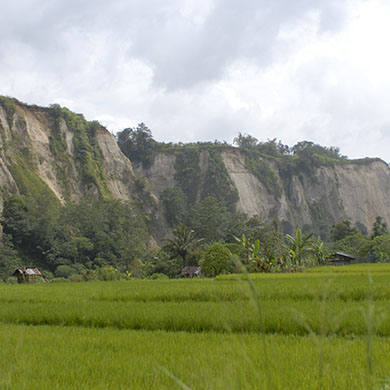 Padang