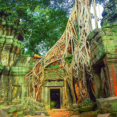 Siem Reap