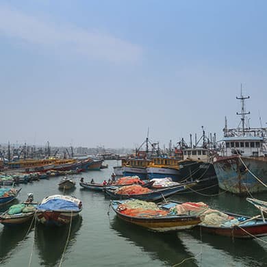 斯利那加