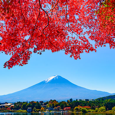 Tokyo