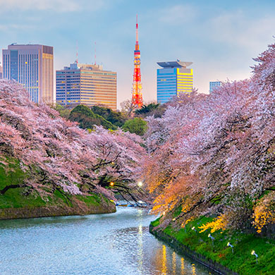 東京